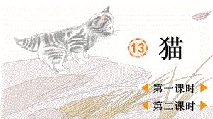 人教部編版四年級下學期語文13貓課件.pptx