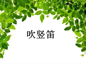 湘藝版三年級上冊音樂吹豎笛課件.ppt