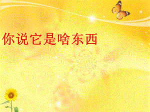 湘藝版一年級下冊音樂你說它是啥東西課件2.ppt