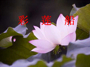 湘藝版三年級(jí)下冊(cè)音樂(lè)《彩蓮船》課件.ppt