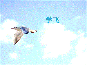 湘藝版二年級上冊音樂《學(xué)飛》課件1.ppt