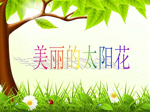 冀少版二年級下冊音樂《美麗的太陽花》課件.ppt