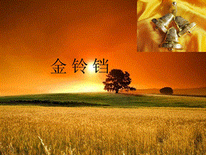 湘藝版二年級(jí)上冊(cè)音樂《金鈴鐺》課件2.ppt