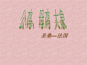 湘藝版一年級下冊音樂公雞、母雞大象課件3.ppt