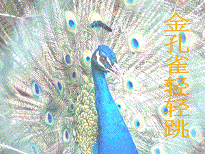 人音版二年級下冊音樂《金孔雀輕輕跳》課件2.ppt