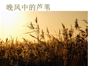 人音版五年級上冊音樂《晚風》課件.ppt