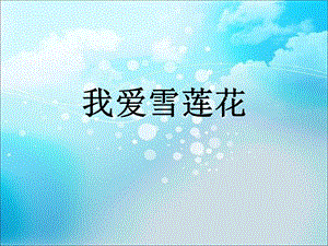 人音版二年級下冊音樂我愛雪蓮花課件3.ppt