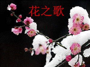 人音版五年級下冊音樂花之歌課件.ppt