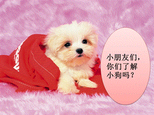 人音版一年級上冊音樂《口哨與小狗》課件一.ppt