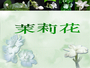 人音版六年級上冊音樂《茉莉花》課件.ppt