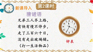 人教部編版六年級下冊 語文16 《表里的生物》課件.pptx