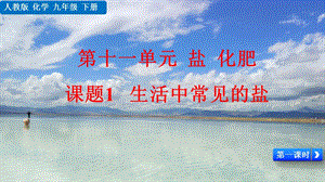人教版九年級下冊化學 課題1 生活中常見的鹽-課件.pptx