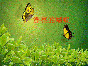 贛美版一年級下冊美術(shù)漂亮的蝴蝶課件.ppt