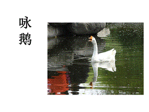 西師大版二下音樂_詠鵝 課件.pptx