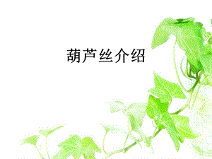 西師大版三下音樂_葫蘆絲吹奏課件.ppt