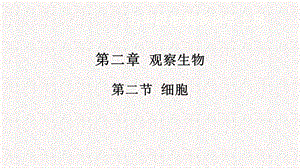 浙教版七年級上冊科學課件2.2細胞.pptx