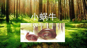 部編版一年級上冊語文14.小畫家（精品課件）.pptx