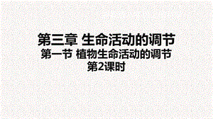 浙教版八年級上冊科學課件3.1植物生命活動的調節② .ppt