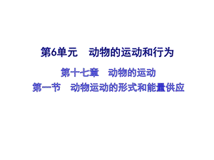 蘇教版八上生物17.1動物運動的形式和能量供應(yīng)（課件PPT）.ppt