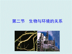 蘇教版七上生物第二節(jié)生物與環(huán)境的關(guān)系課件.ppt