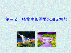 蘇教版七上生物第三節(jié)植物生長(zhǎng)需要水和無機(jī)鹽課件.ppt