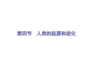 蘇教版八上生物16.4人類的起源和進化（課件PPT）.ppt