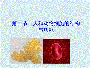 蘇教版七上生物第二節(jié)人和動(dòng)物細(xì)胞的結(jié)構(gòu)與功能 課件.ppt