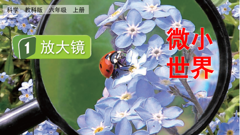 教科版六上科學1.1放大鏡課件含視頻素材.rar