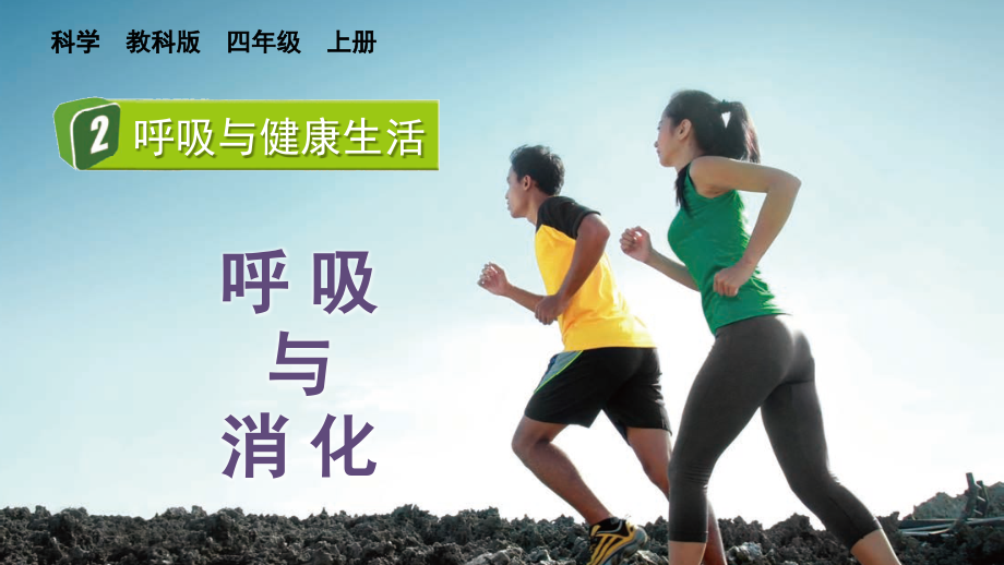 教科版四上科學2.2呼吸與健康生活課件含視頻素材.rar