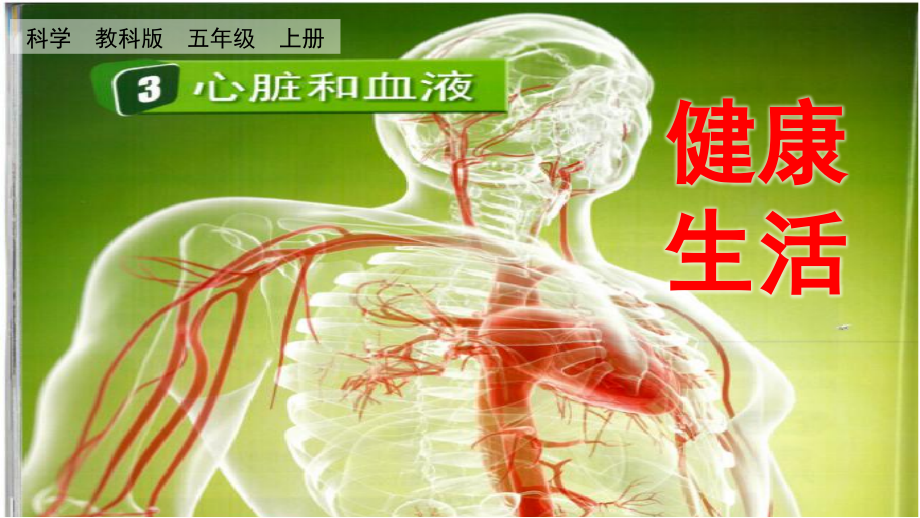 教科版五上科學4.3心臟和血液課件含視頻素材.rar