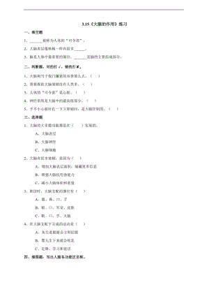 粵科版六上科學3.15《大腦的作用》練習題含答案.doc