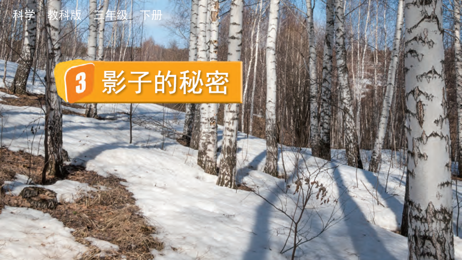 教科版三下科學3.3影子的秘密課件含視頻素材.rar