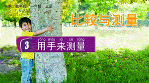 教科版一上科學2.3 用手來測量 課件.pptx