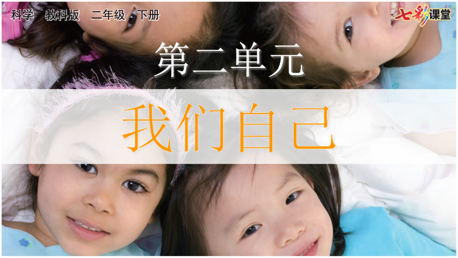 教科版二下科學2.1 觀察我們的身體 課件含素材.rar