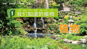 教科版一上科學1.1 我們知道的植物 課件.pptx