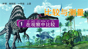 教科版一上科學2.1在觀察中比較課件.pptx
