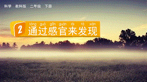 教科版二下科學(xué)2.2 通過感官來發(fā)現(xiàn) 課件.pptx