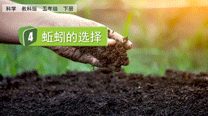 教科版五下科學1.4 蚯蚓的選擇 課件.pptx