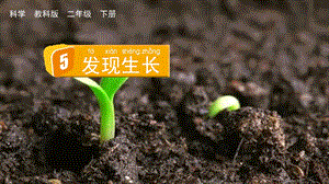 教科版二下科學2.5 發現生長 課件.pptx