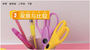 教科版二下科學2.3 觀察與比較 課件.pptx
