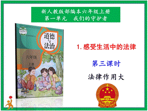 部編版六上道德與法治1.感受生活中的法律第3課時課件.pptx
