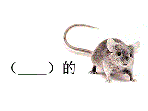 浙美版五年級上冊美術14.童謠童畫課件.pptx