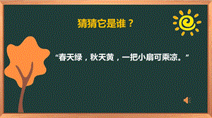 湘科版二下心理健康教育第7課《生活中的四季》課件.pptx