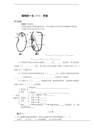 浙教版七下科學1.4植物的一生學案1.doc