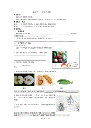 浙教版七上科學第2章第5節常見的植物4教案.doc