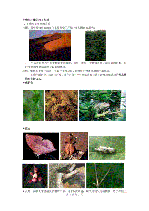 浙教版九下科學(xué)第2章第1節(jié) 生物與環(huán)境的相互關(guān)系1 教學(xué)案.doc