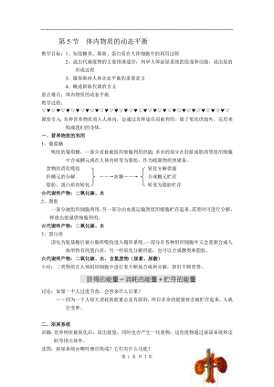 浙教版九上科學第4章第5節 體內物質的動態平衡2 教學案.doc