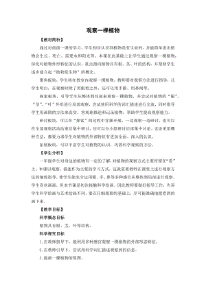 教科版一年級(jí)上冊(cè)科學(xué)《1.3觀察一棵植物》 教學(xué)設(shè)計(jì).docx