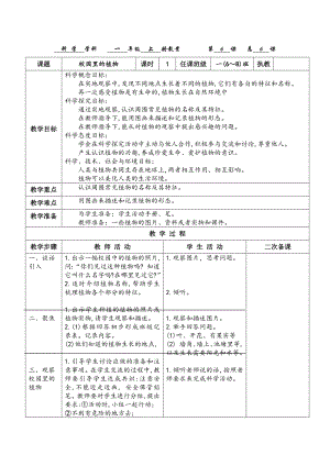 教科版一年級上冊科學1.6校園里的植物教案.docx