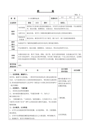 遼師大版六上綜合實踐第5周 小小陀螺轉起來 教案.doc